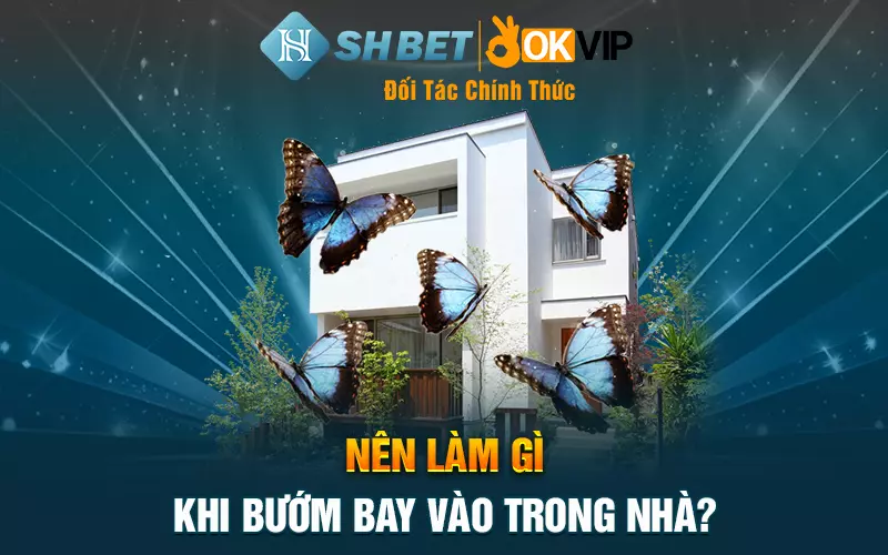 Nên làm gì khi bướm bay vào trong nhà?