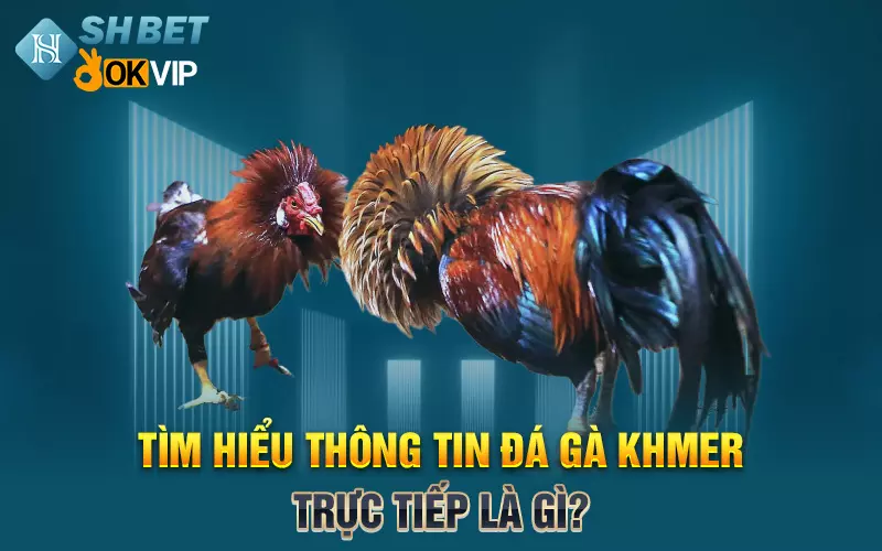 tim hieu thong tin da ga khmer truc tiep la gi