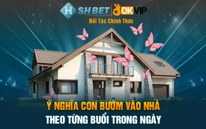 Ý nghĩa con bướm vào nhà theo từng buổi trong ngày