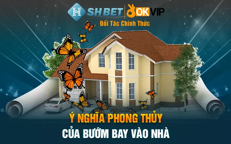 y nghia phong thuy cua buom bay vao nha