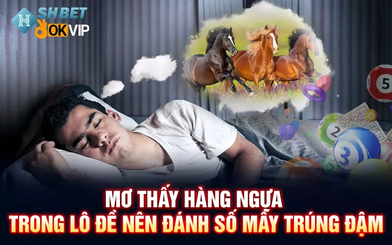 Mơ thấy hàng ngựa trong lô đề nên đánh số mấy trúng đậm