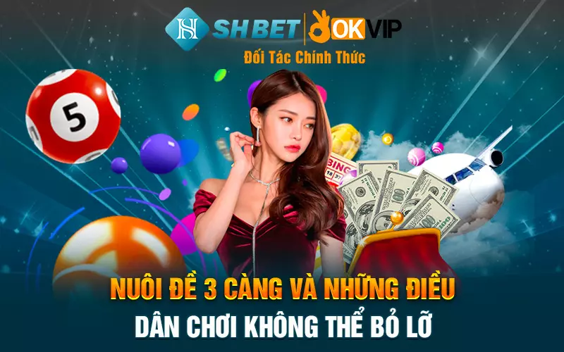 Nuôi đề 3 càng và những điều dân chơi không thể bỏ lỡ