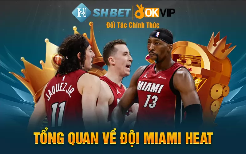 Tổng quan về đội Miami Heat